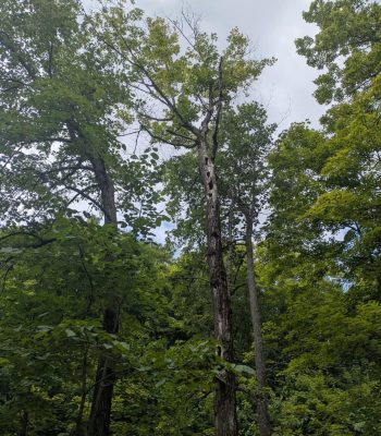 515029239_122120045354905388_2901623737246395808_n