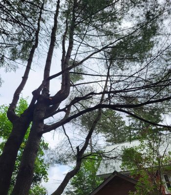 517995823_122115763322905388_6570486913967754232_n