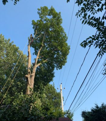 534828878_122127894620905388_6253413400766783920_n