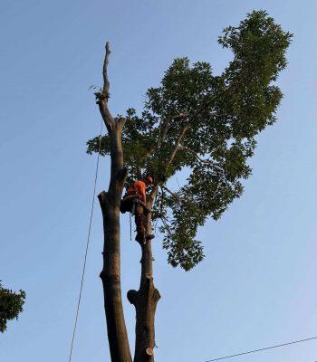 535270349_122127894596905388_44984767129617261_n