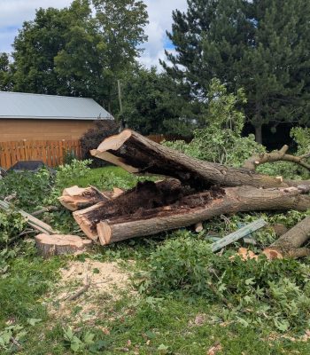 535442558_122127894554905388_8108588161546017458_n