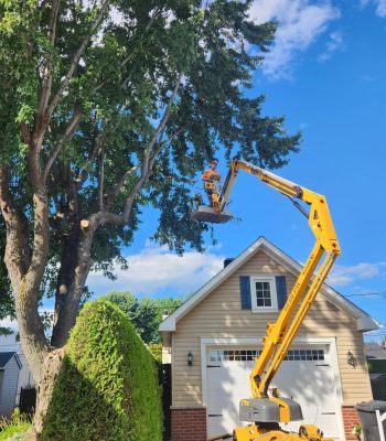 536269752_122127894488905388_8662748785347624242_n