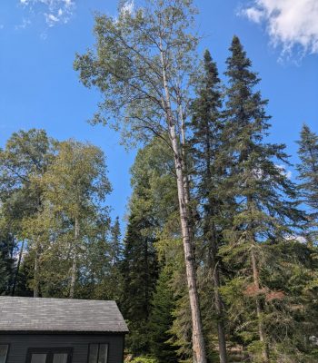 536278981_122130034718905388_4993426379301014741_n