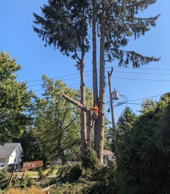 543394946_122131775924905388_2659750175845946914_n